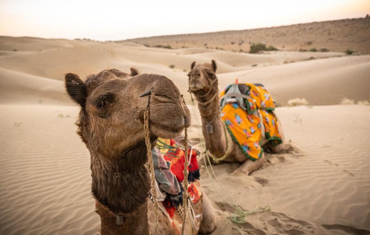 Hotel Jasmin Home Jaisalmer Eksteriør bilde